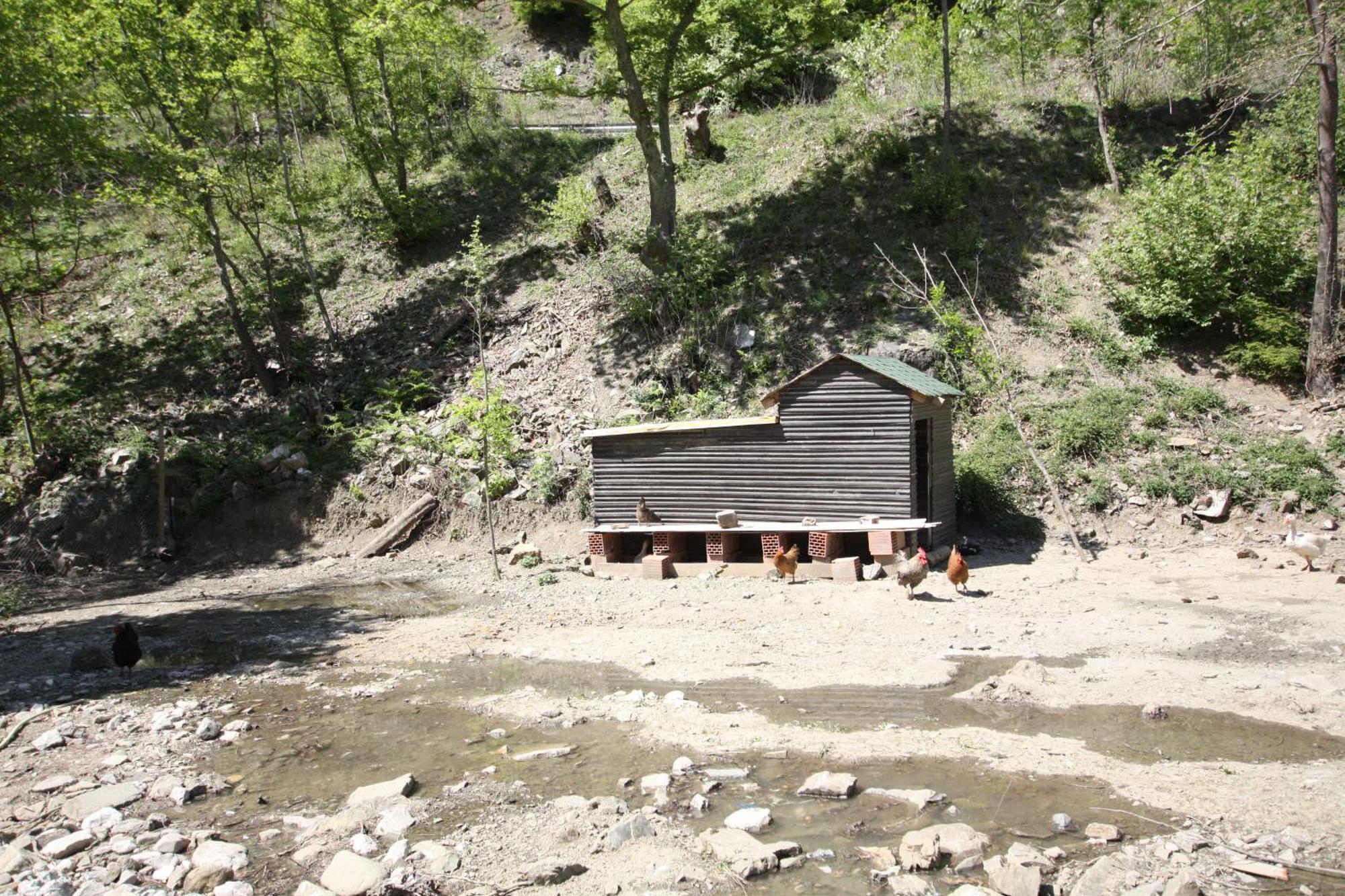 Lugina E Shengjergjit ,bujtinat 山林小屋 *